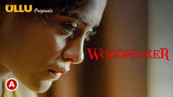 Woodpecker All Episode 2022 Hindi Porn Web Series – Ullu HD